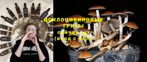 трава Алзамай