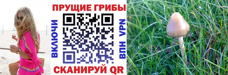 Галлюциногенные грибы GOLDEN TEACHER  продажа наркотиков  Якутск 