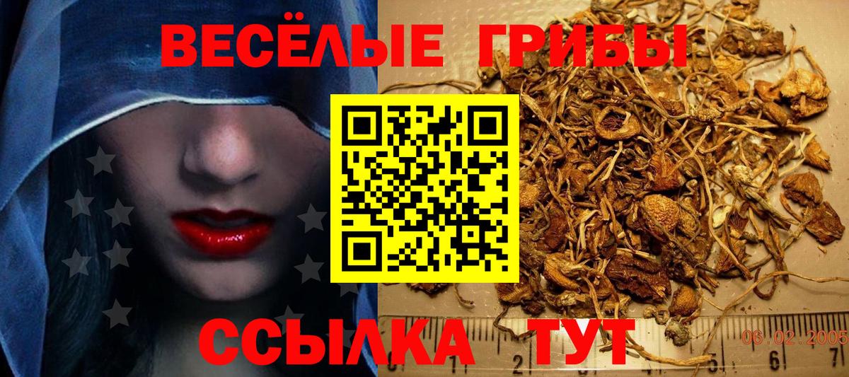 Псилоцибиновые грибы MAGIC MUSHROOMS Якутск