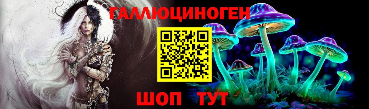 Якутск  Галлюциногенные грибы Cubensis  Вход с VPN 