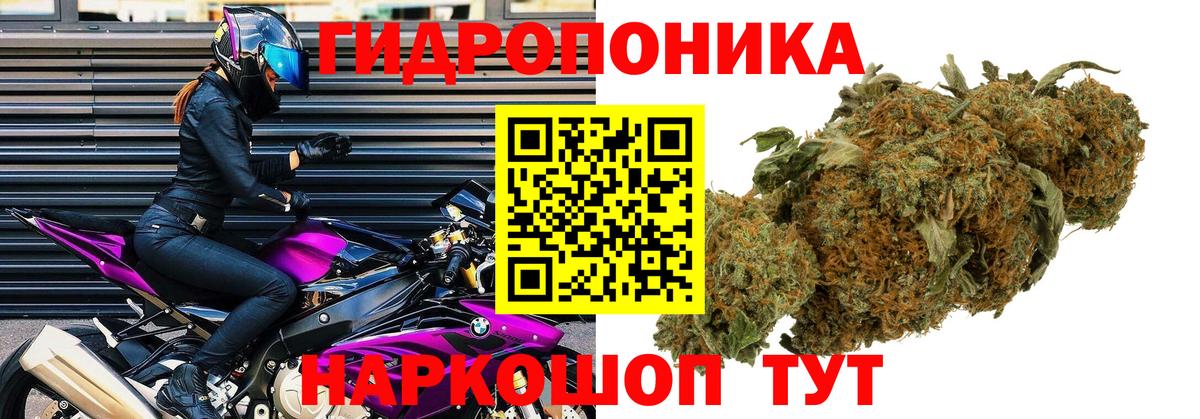 МАРИХУАНА тримм  Канабис планчик  Вход с VPN  Якутск 